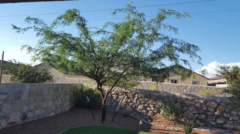 Photo of Outdoor in Chamberino
