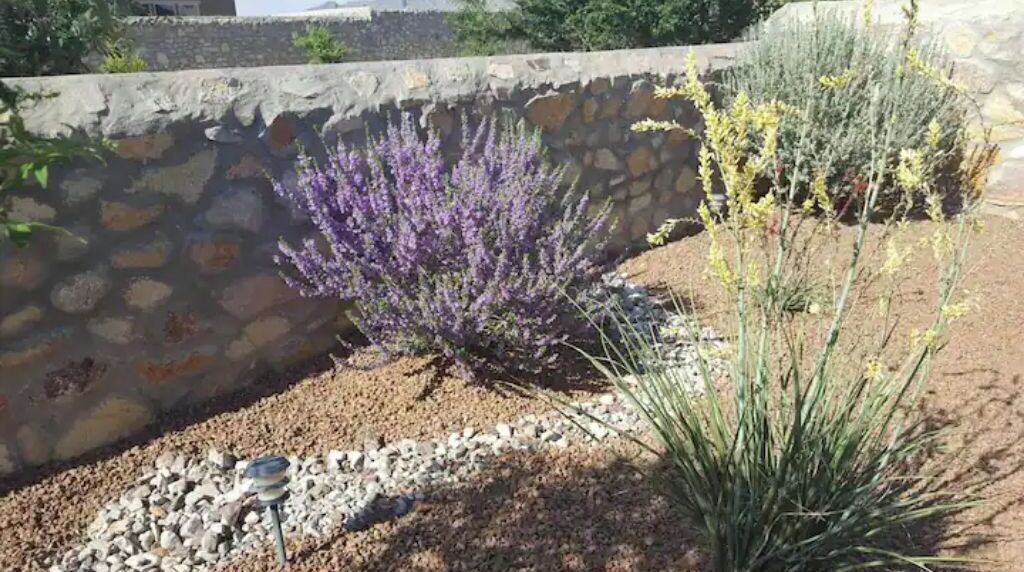Photo of Outdoor in Chamberino