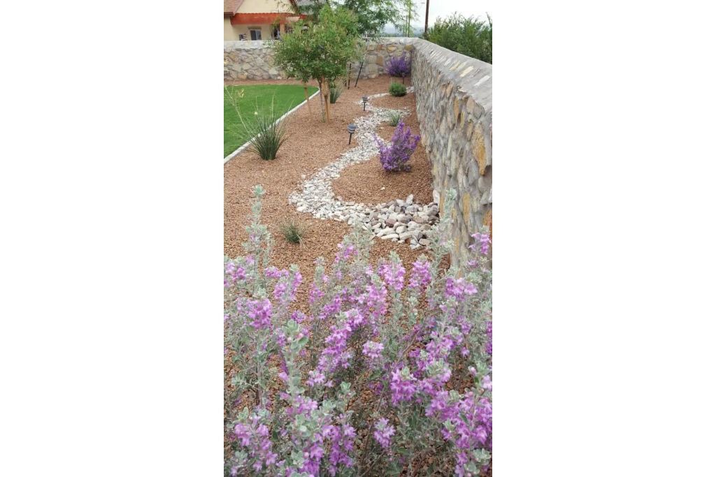 Photo of Outdoor in Chamberino