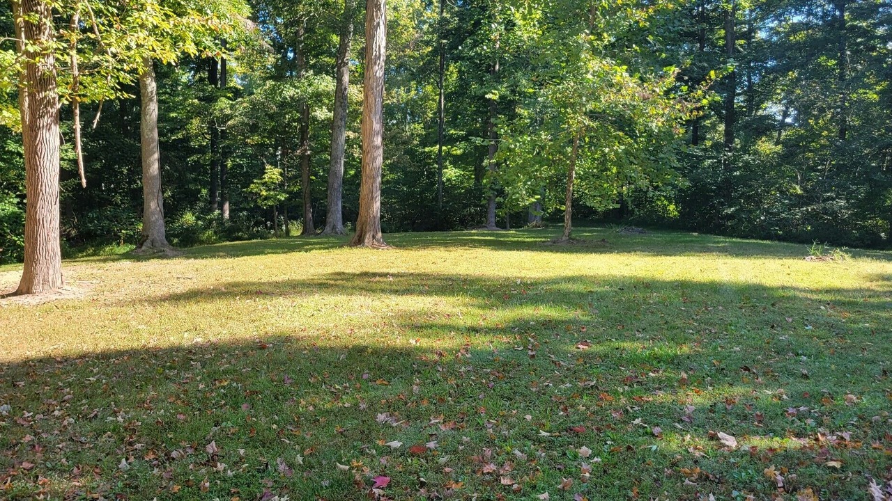 Photo of Outdoor in Lexington
