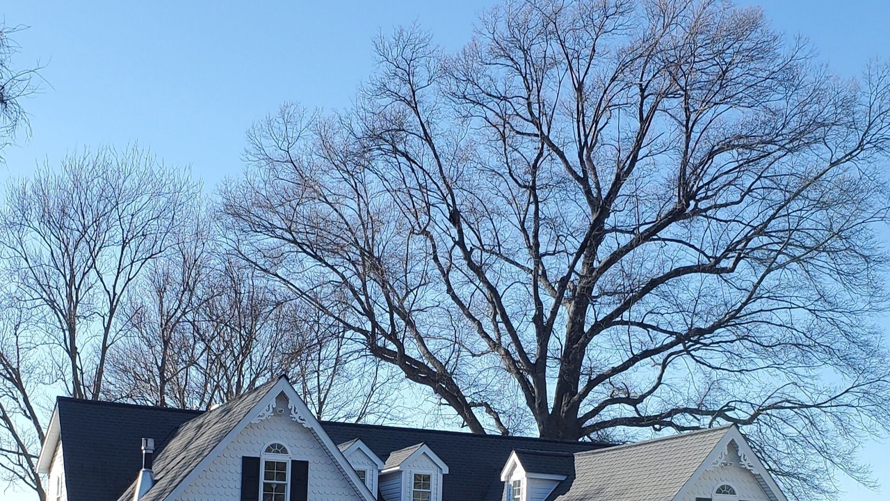 Photo of Outdoor in Mount Holly