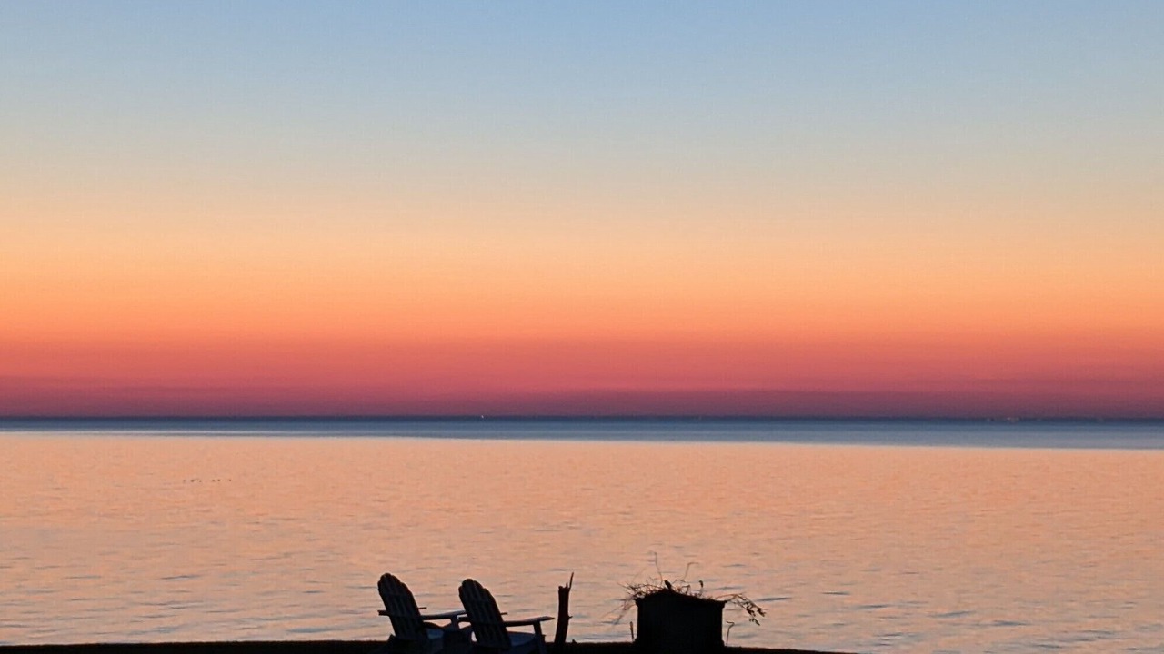 Photo of Outdoor in Wilson