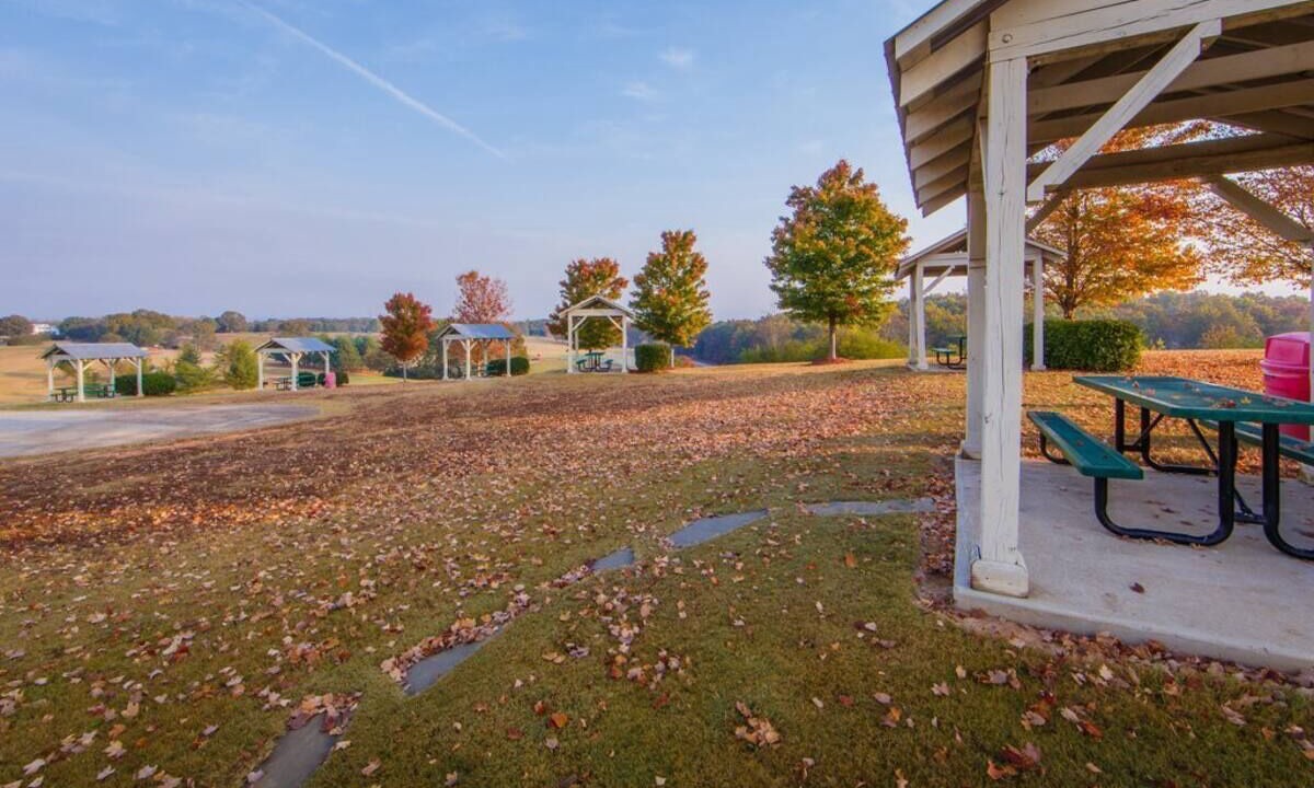 Photo of Outdoor in Clarkesville