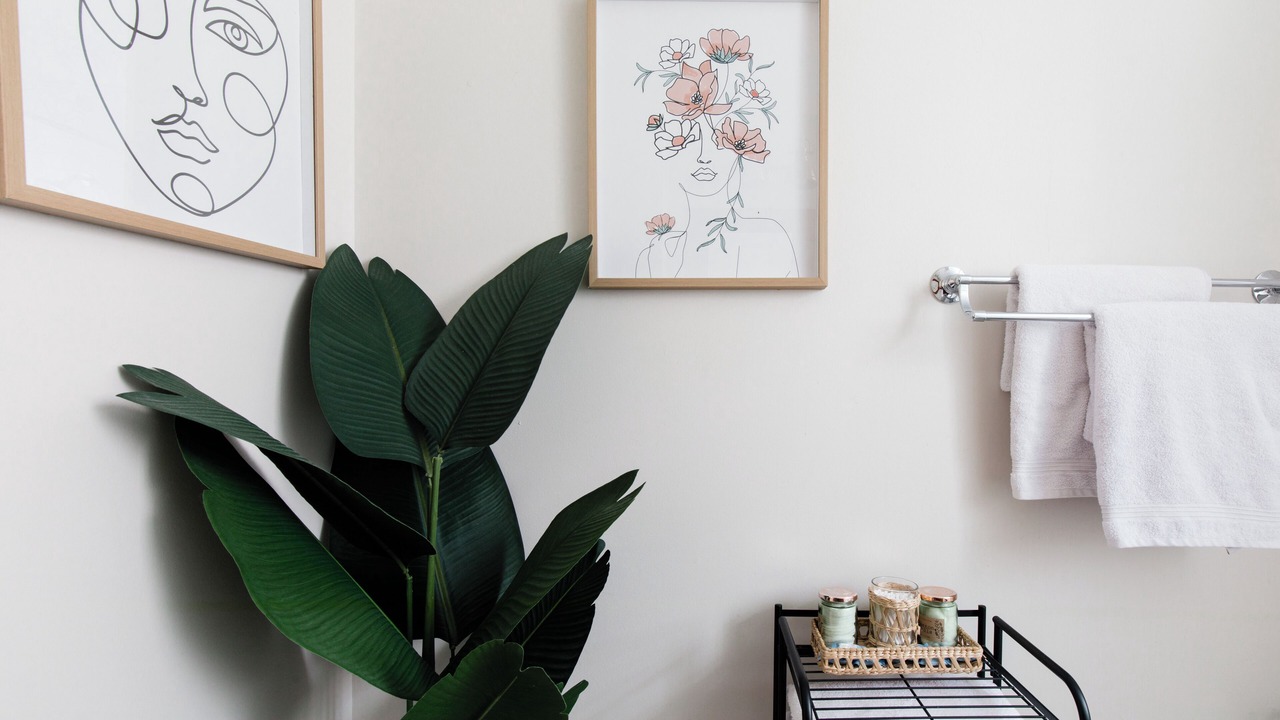 Photo of Others in Avondale