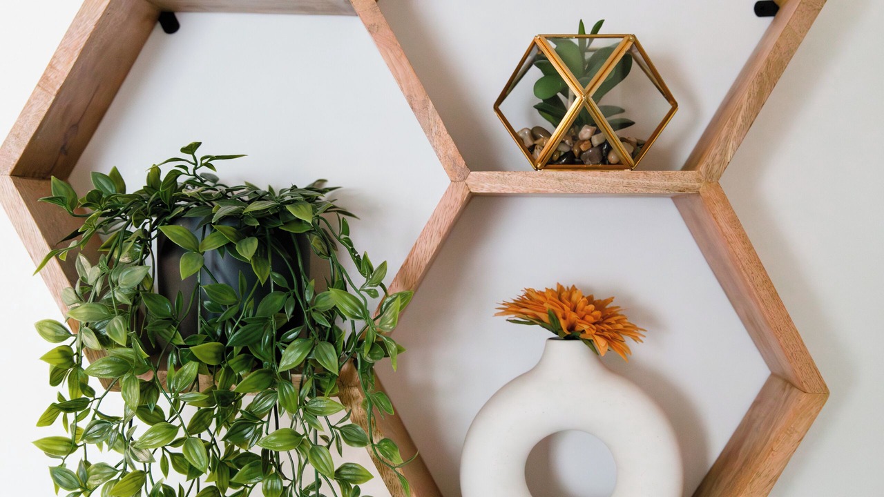 Photo of Others in Avondale