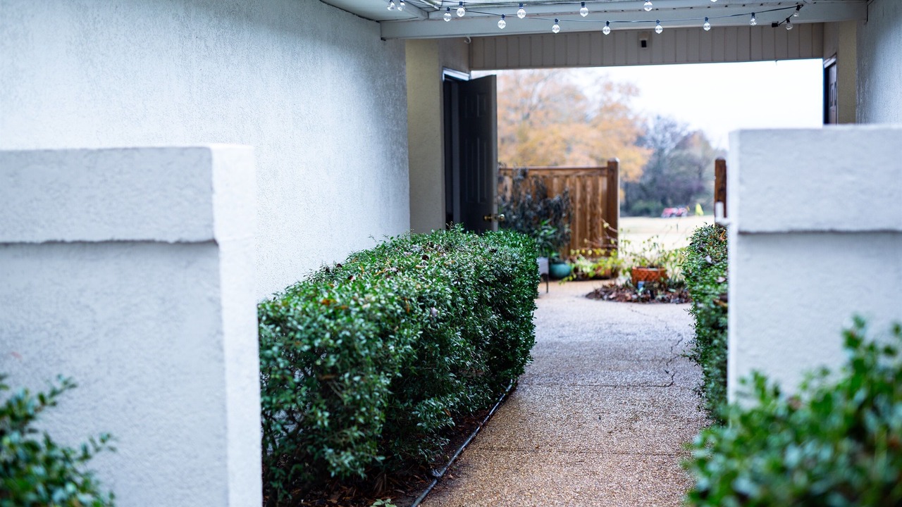 Photo of Outdoor in Mayhew
