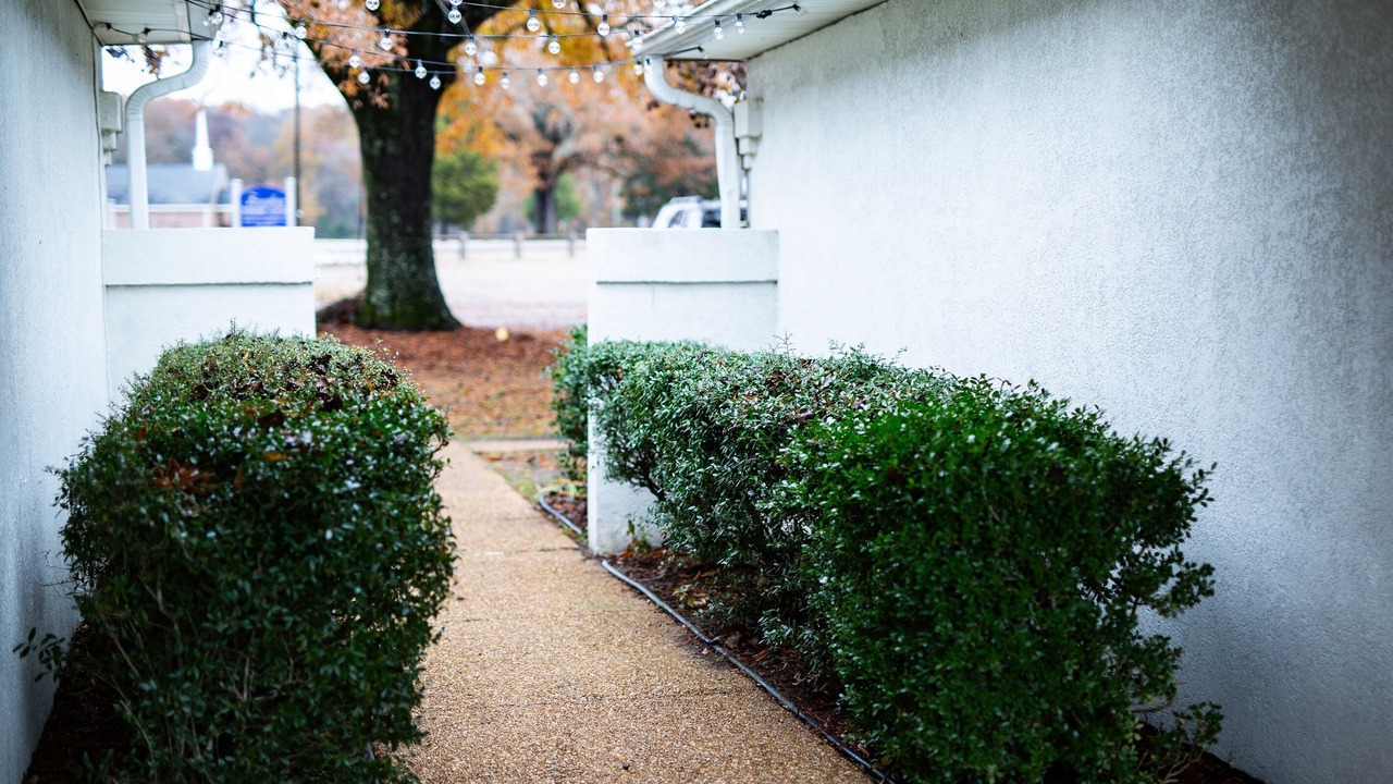 Photo of Outdoor in Mayhew