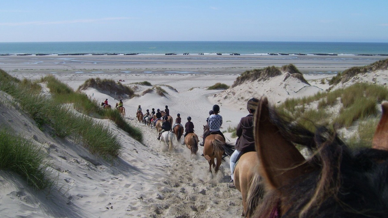 Photo of Others in Quend-Plage-les-Pins