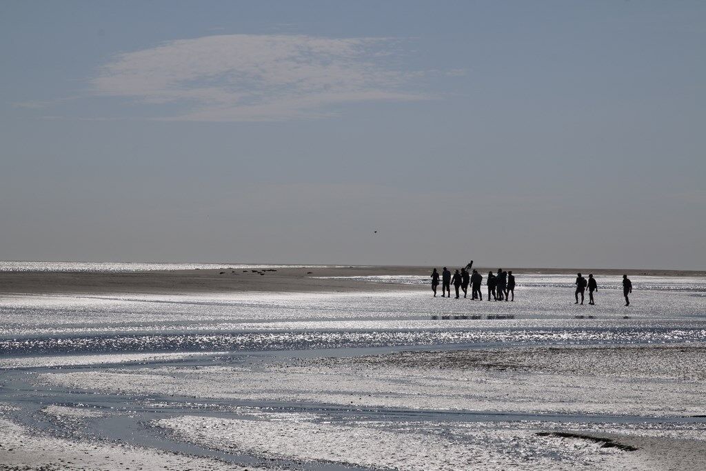 Photo of Others in Quend-Plage-les-Pins