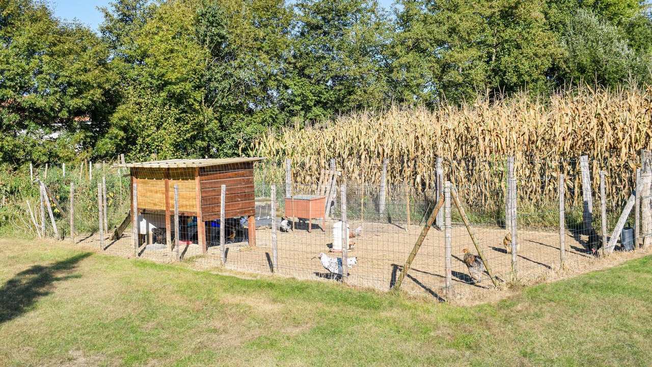 Photo of Others in Rivehaute