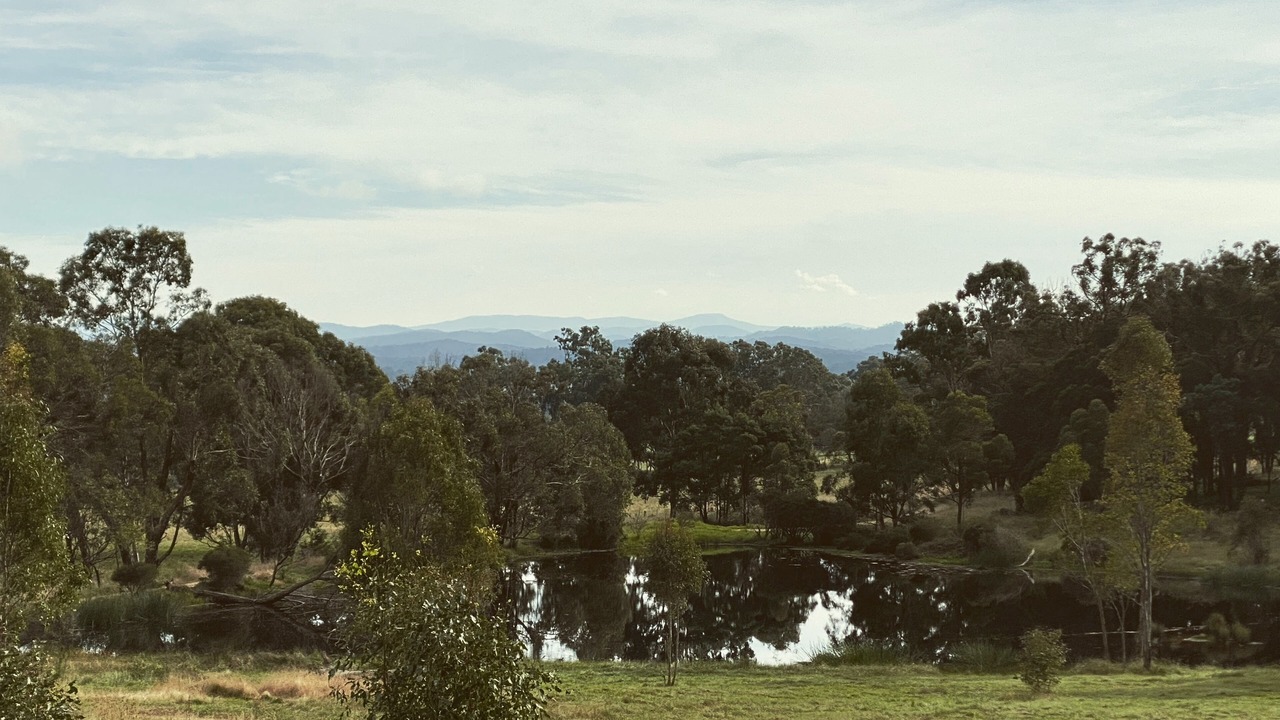 Photo of Outdoor in Briagolong