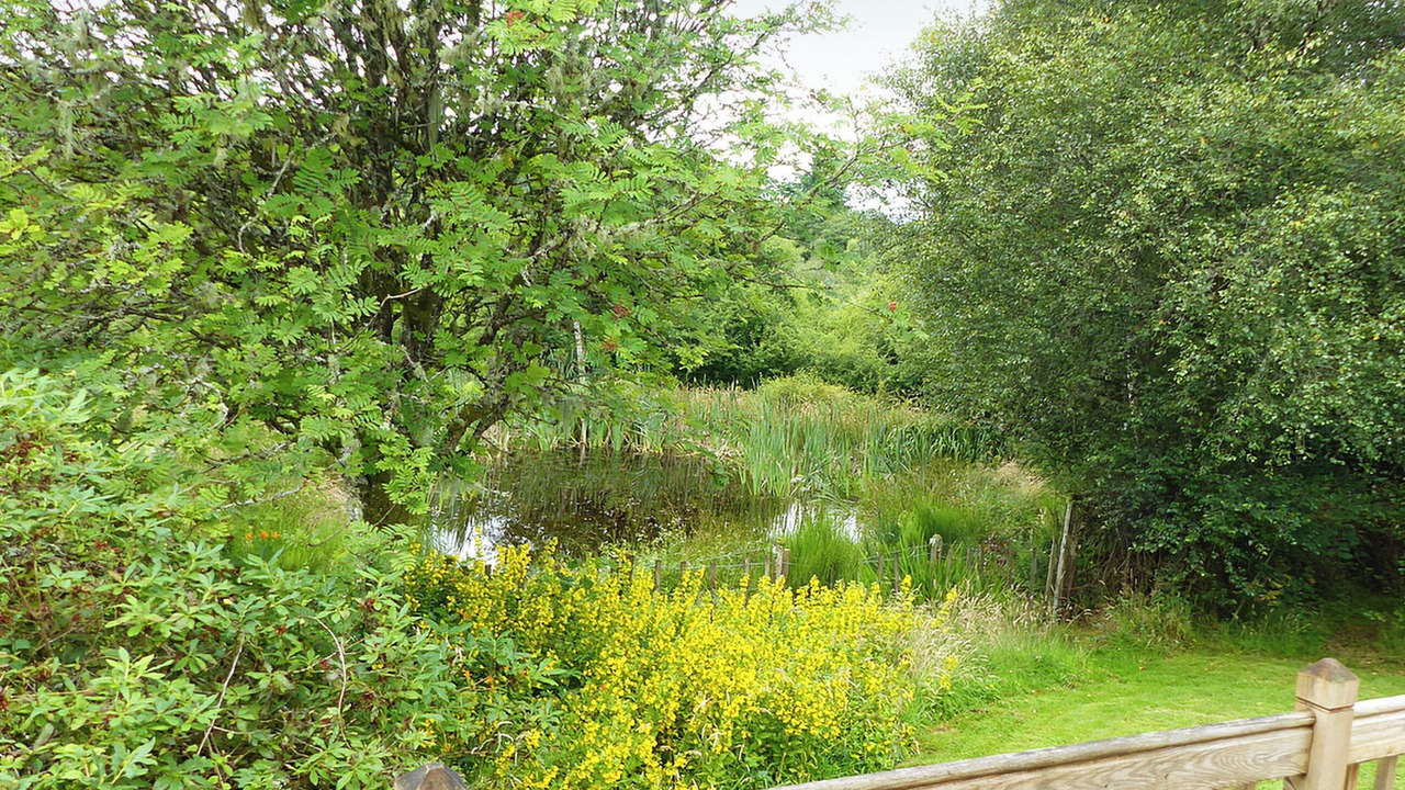 Photo of Others in Aberfoyle