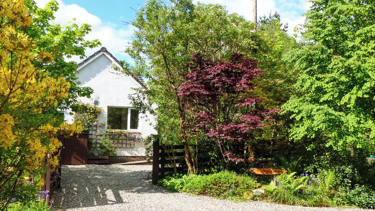 Photo of Outdoor in Aberfoyle