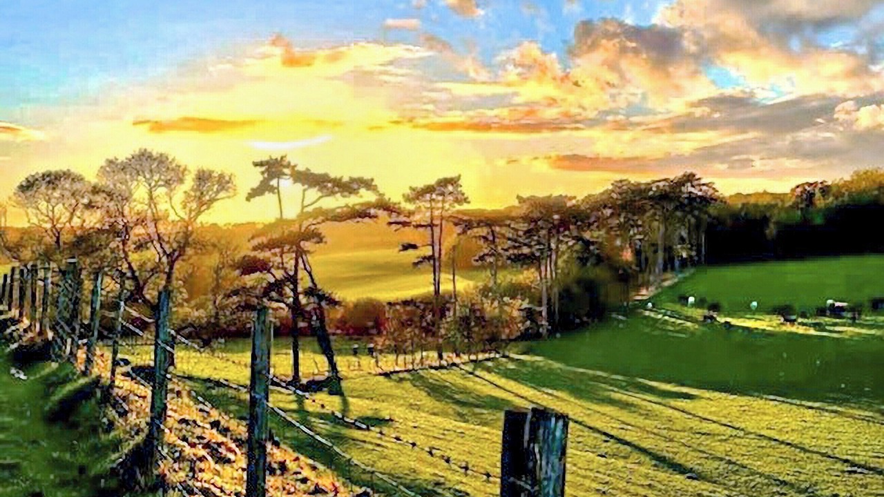 Photo of Others in Etchinghill