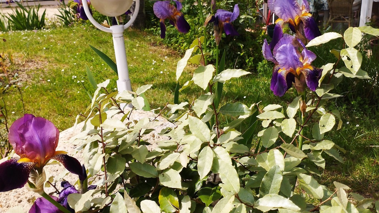 Photo of Outdoor in Monprimblanc