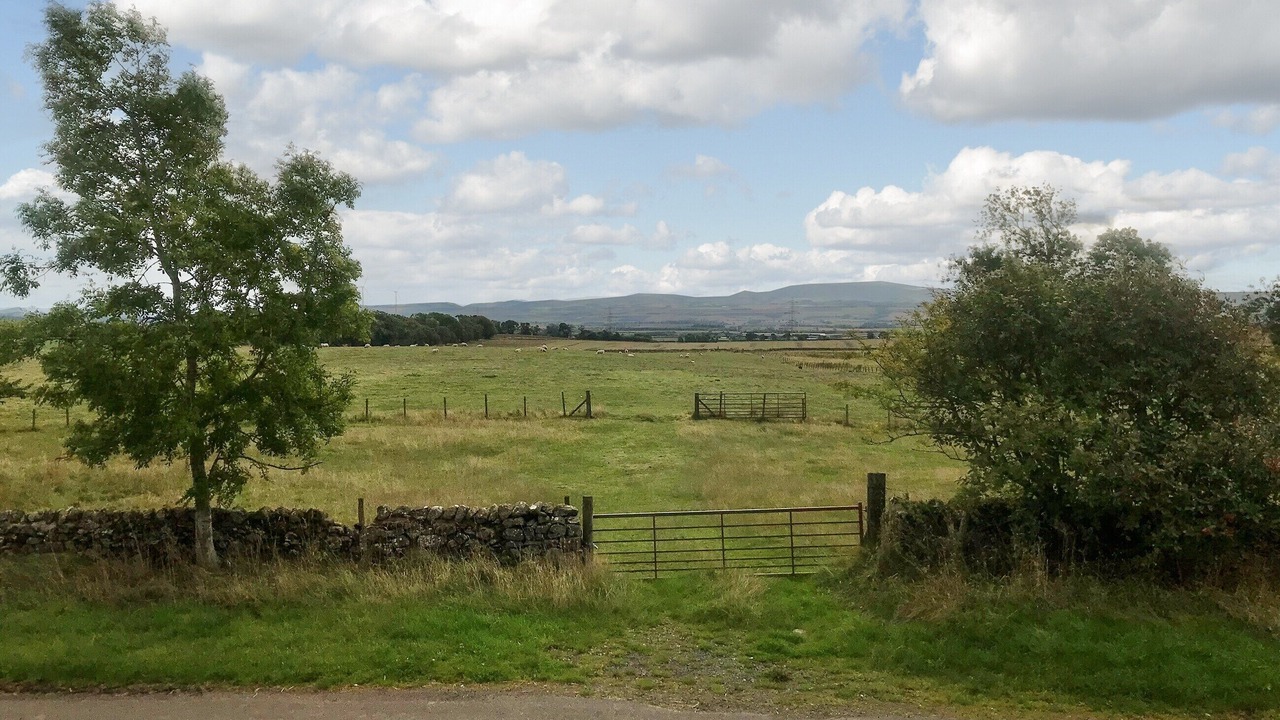 Photo of Others in Duns