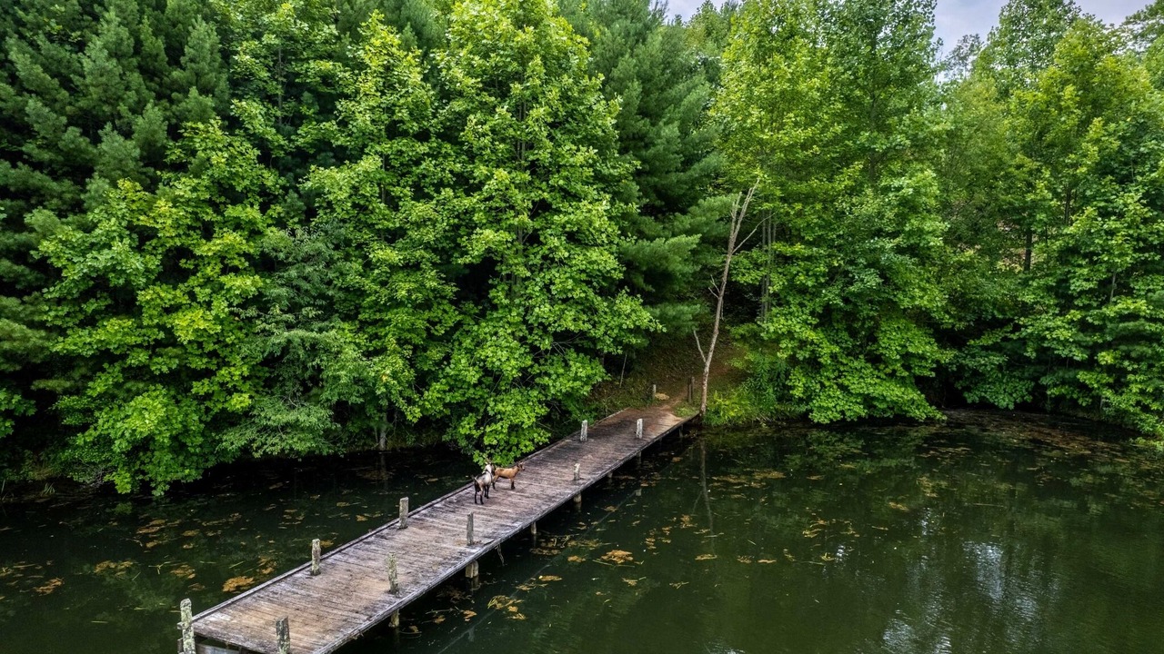 Photo of Outdoor in Robbinsville