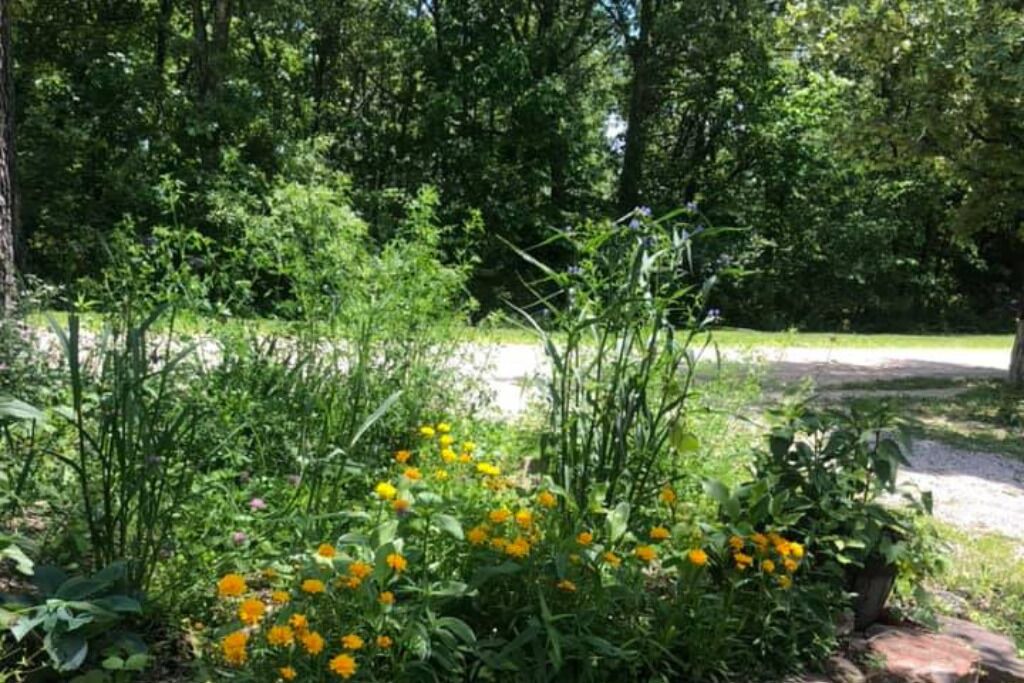 Photo of Outdoor in Bourbon