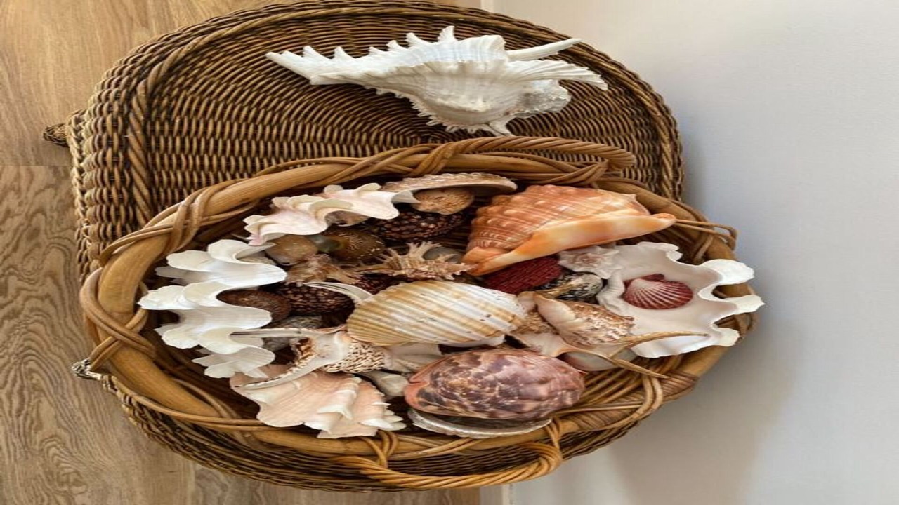 Photo of Others in Surf Beach