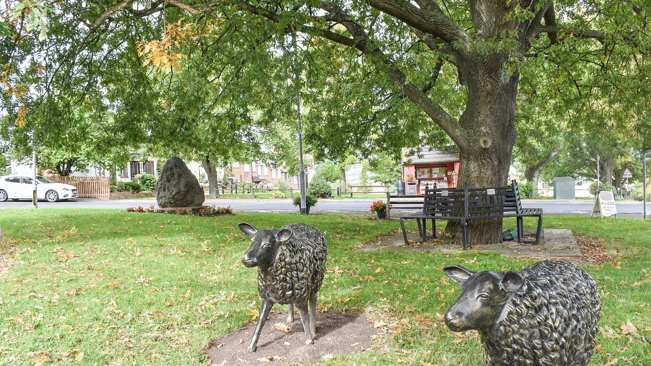 Photo of Others in Darlington