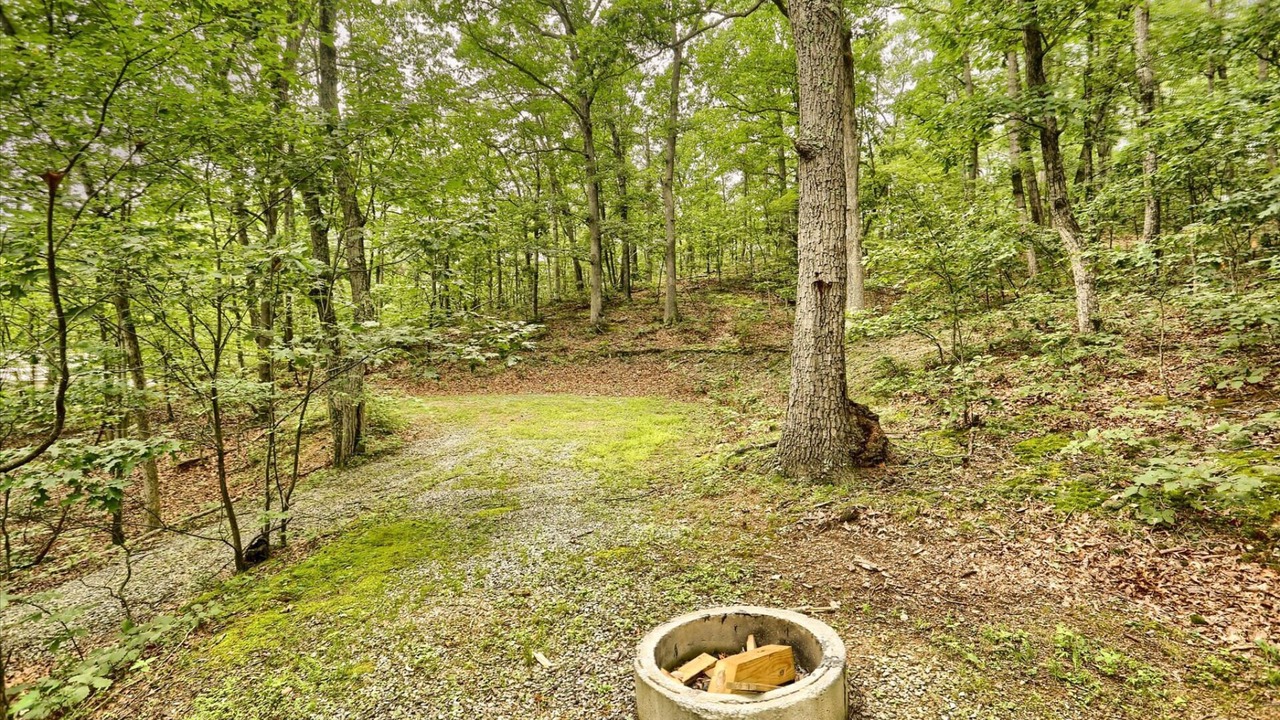 Photo of Others in James Creek