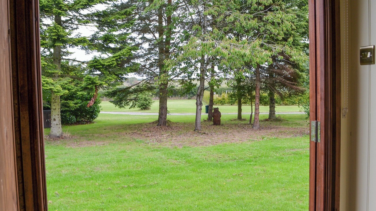 Photo of Others in Pocklington