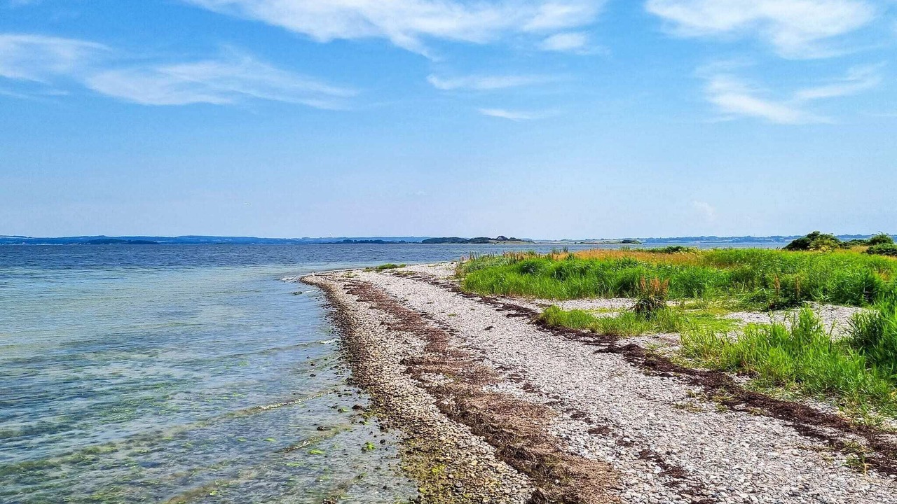 Photo of Others in Skastrup Strand