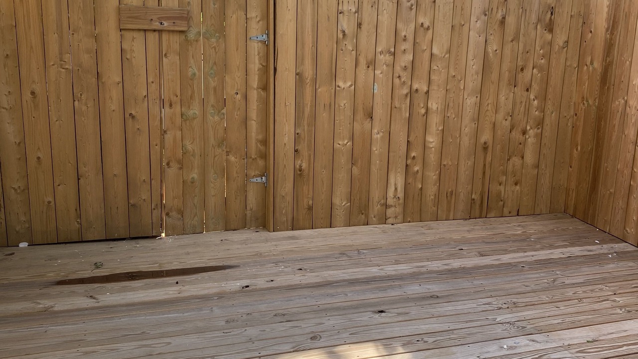 Photo of Outdoor in South Philadelphia