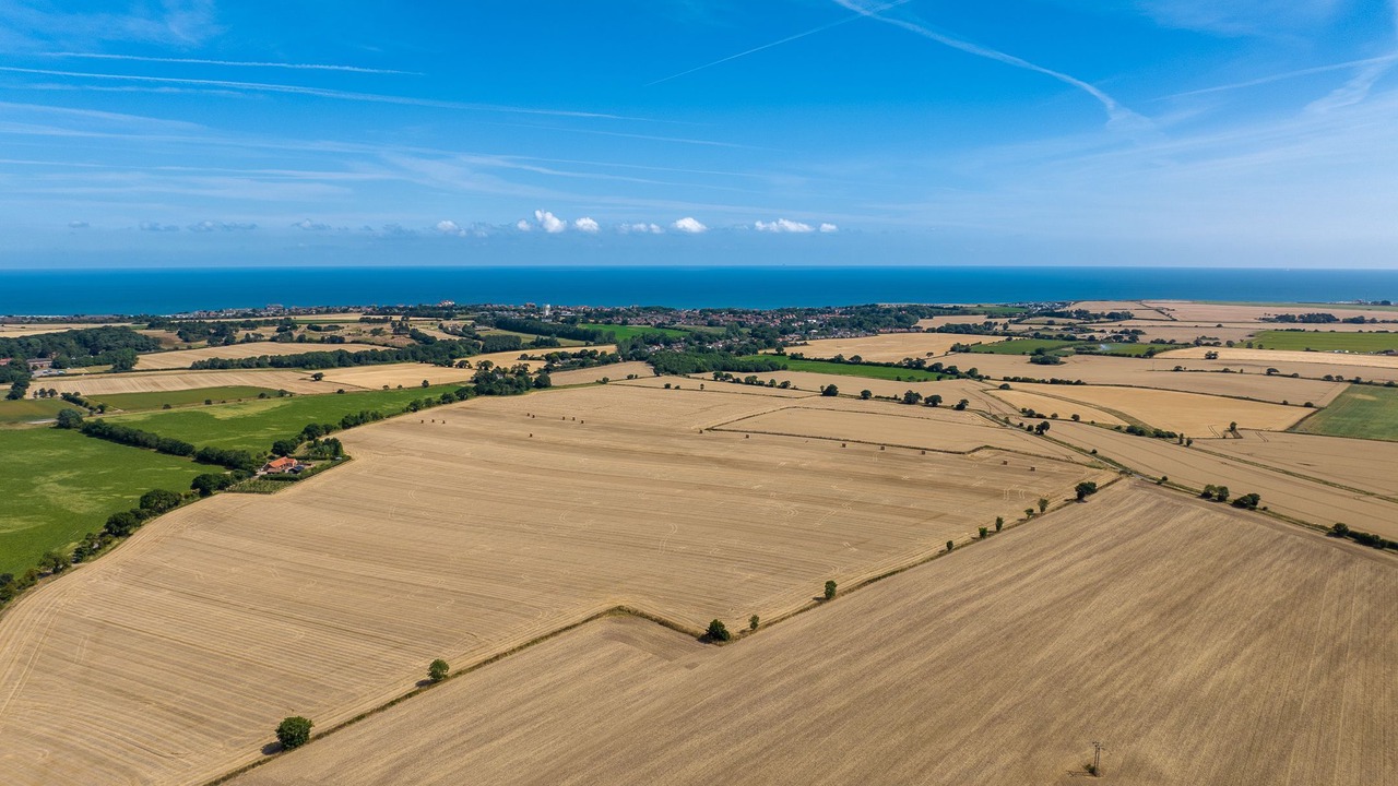 Photo of Others in Trunch