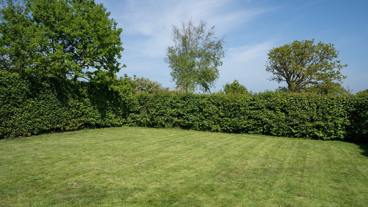 Photo of Outdoor in Trunch