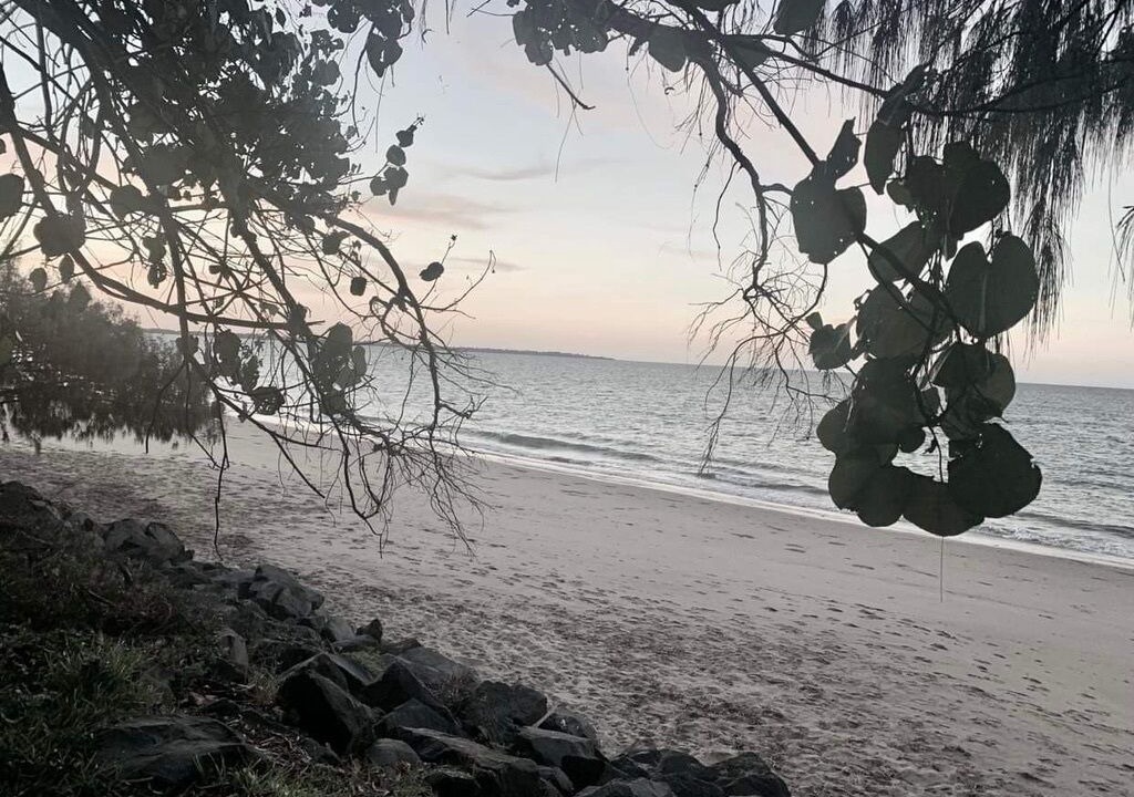 Photo of Others in Toogoom