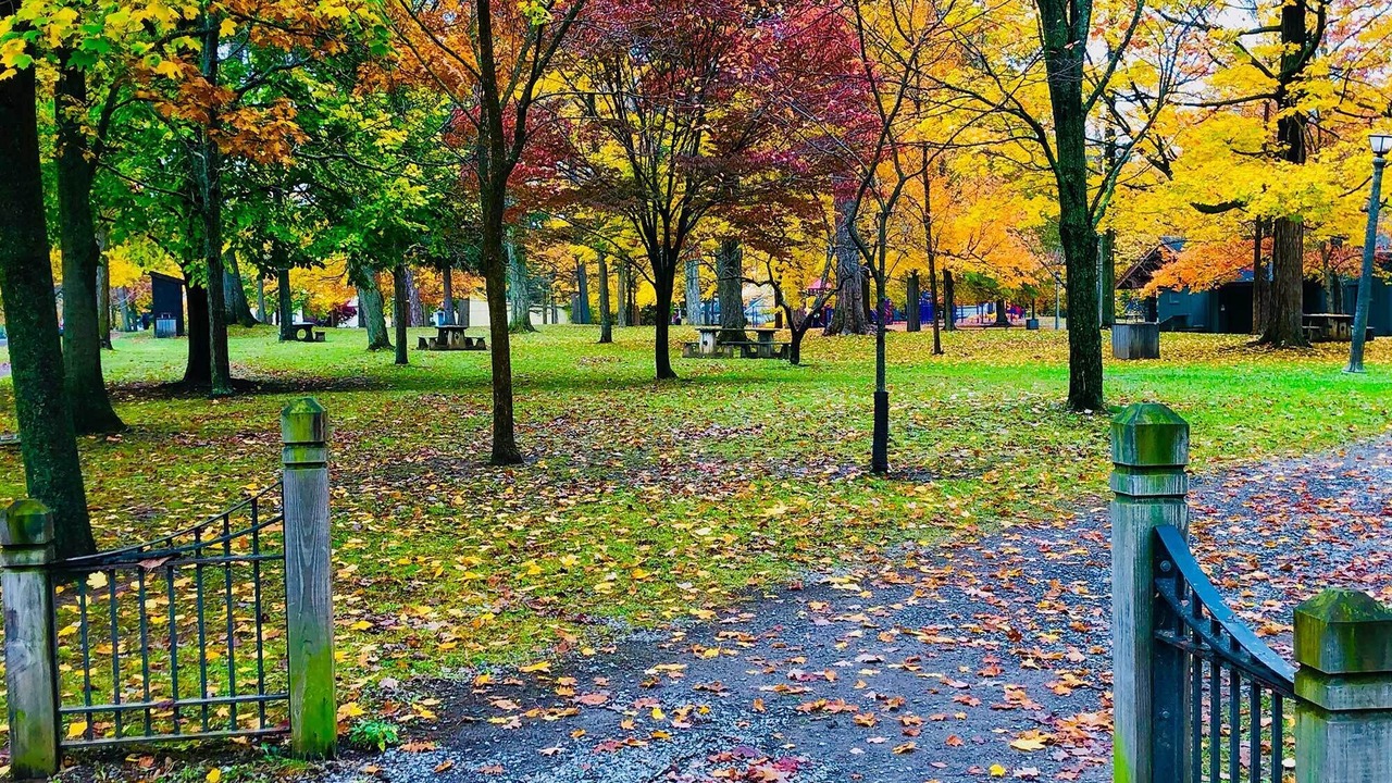 Photo of Others in East Aurora