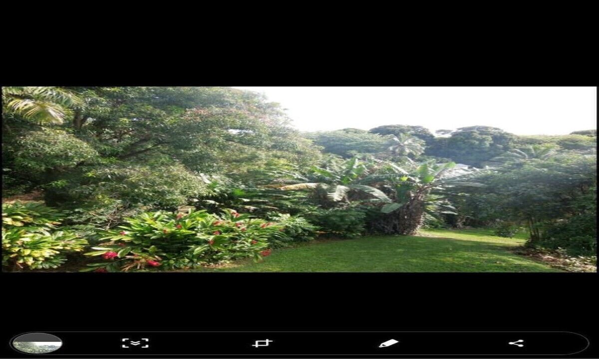 Photo of Others in Hana