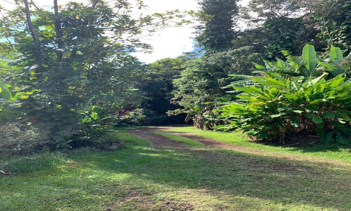 Photo of Outdoor in Hana