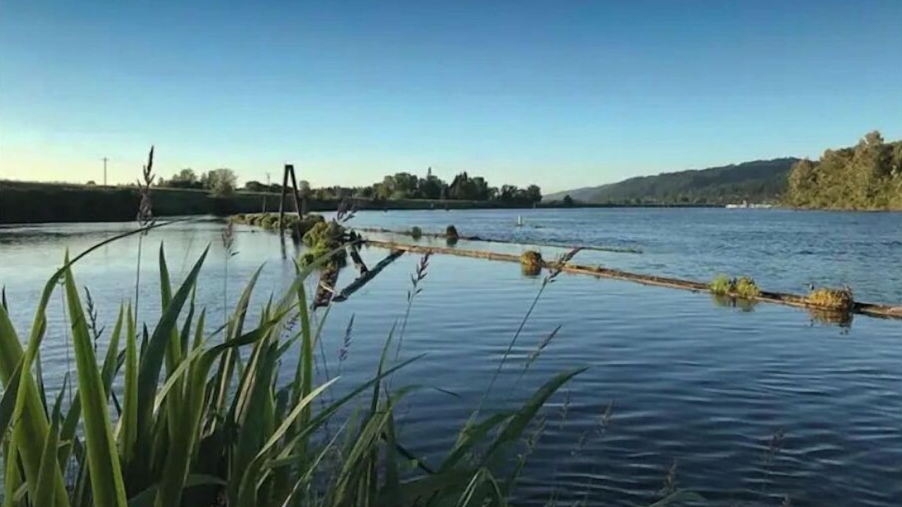 Photo of Outdoor in Portland