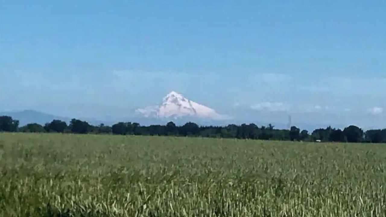 Photo of Others in Portland