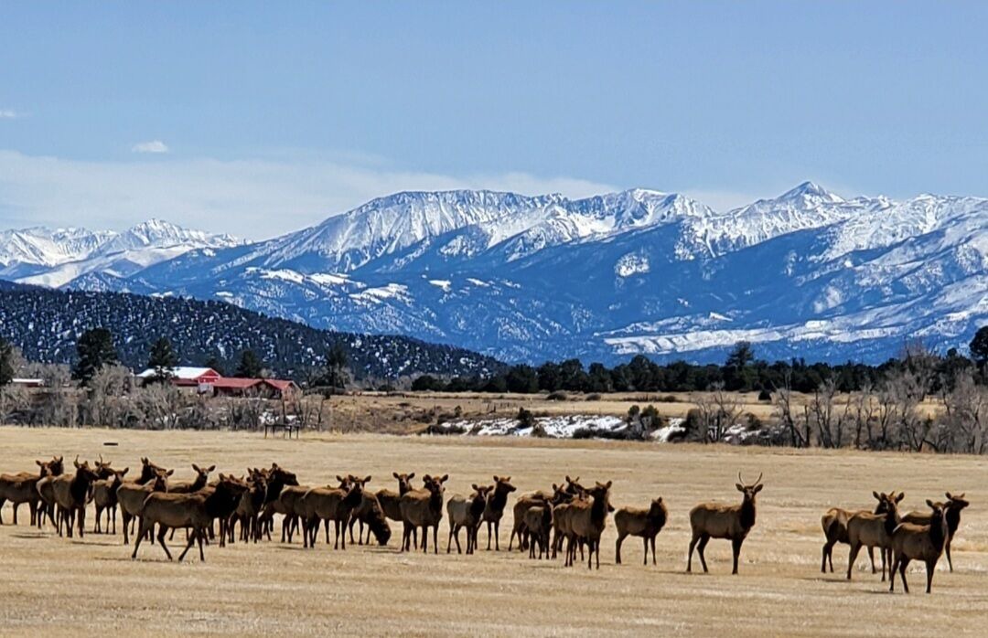 Photo of Others in Nathrop