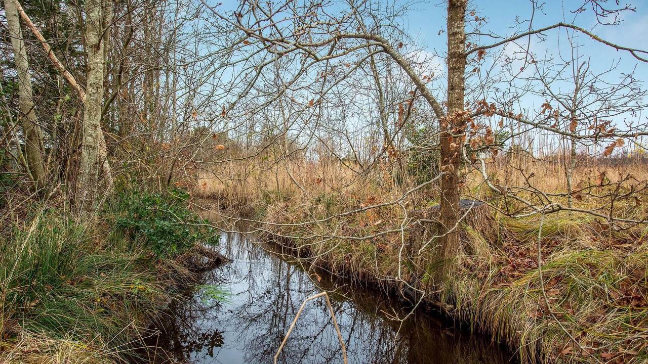 Photo of Others in Jerup