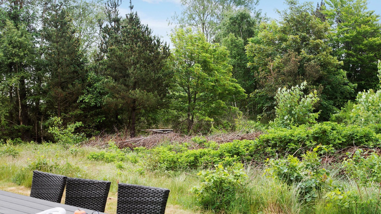 Photo of Others in Jerup