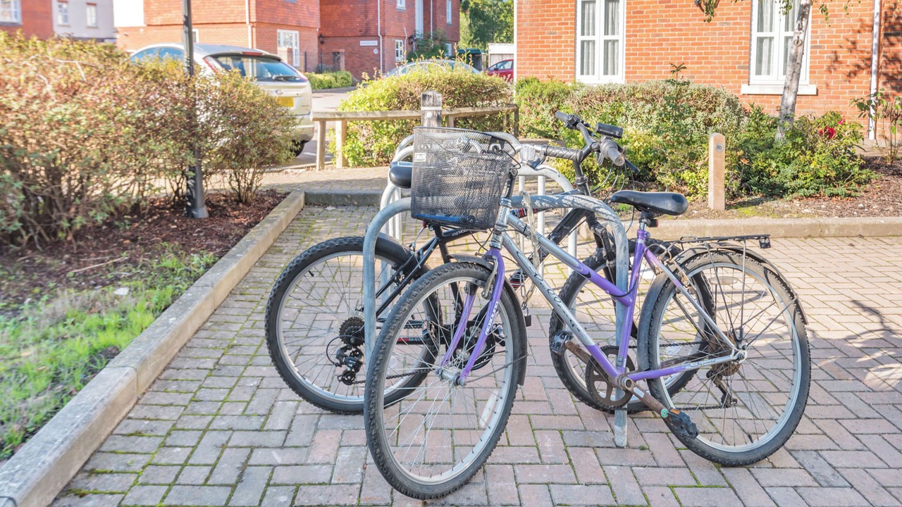 Photo of Others in New Forest District