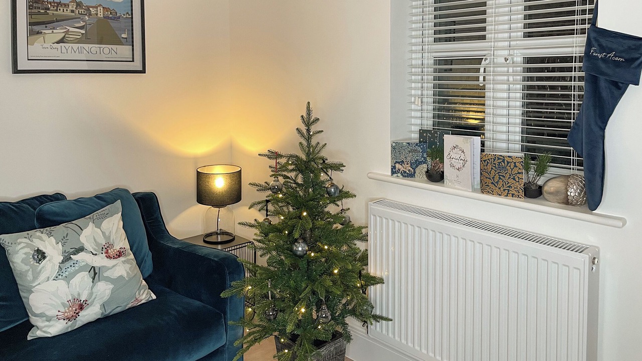 Photo of Others in New Forest District