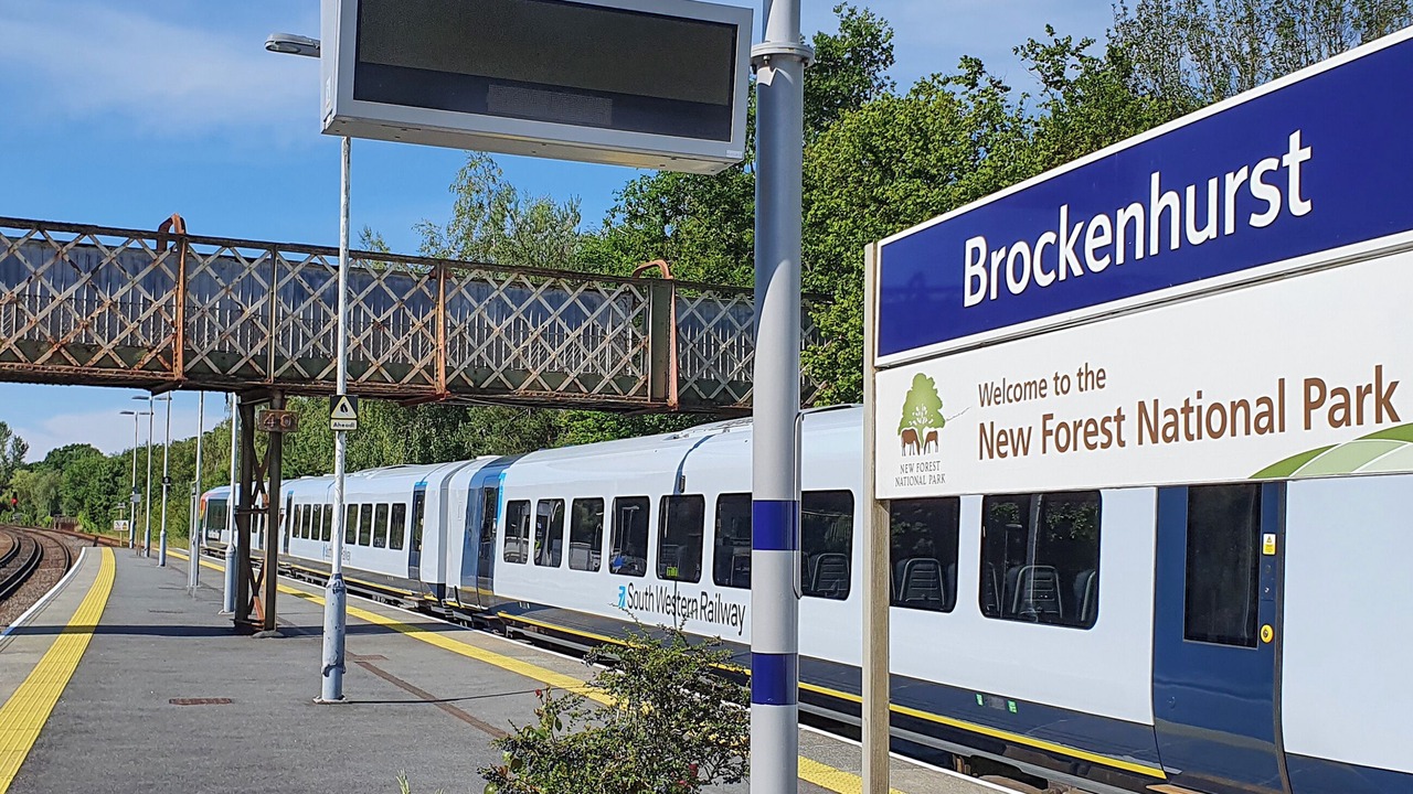 Photo of Others in New Forest District