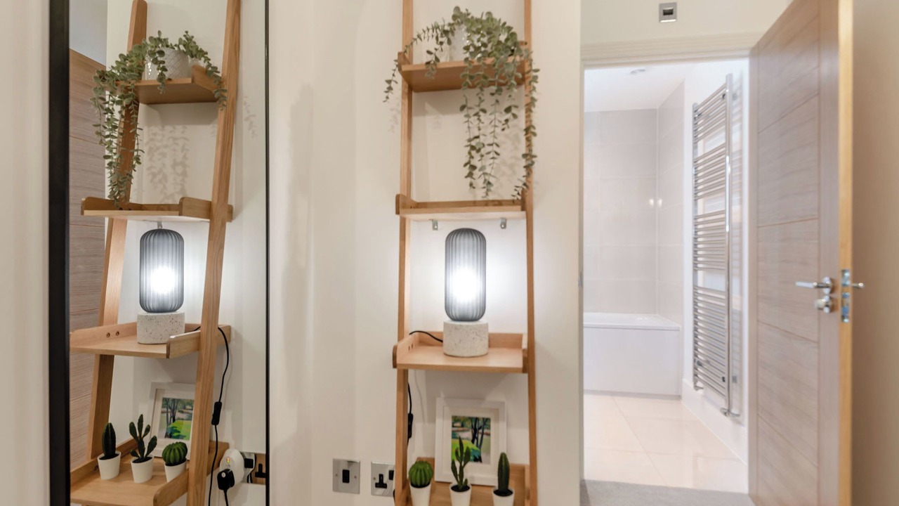 Photo of Others in New Forest District