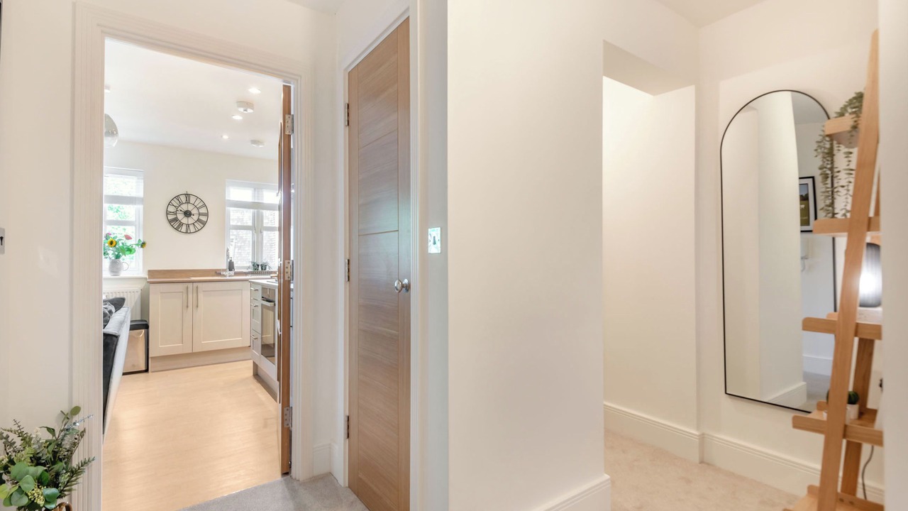 Photo of Others in New Forest District