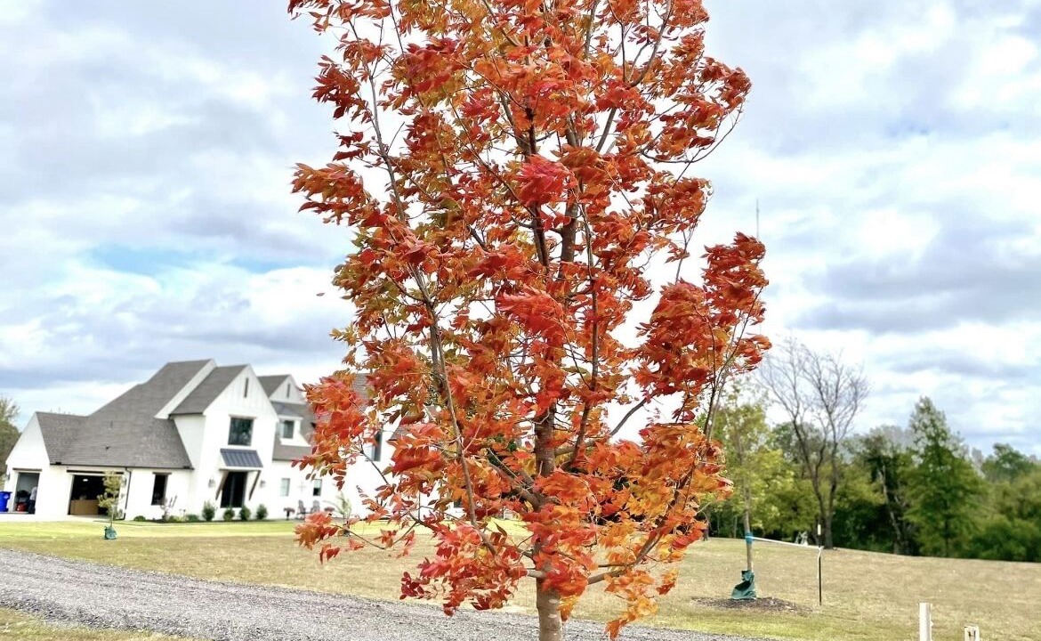 Photo of Outdoor in Wagoner County