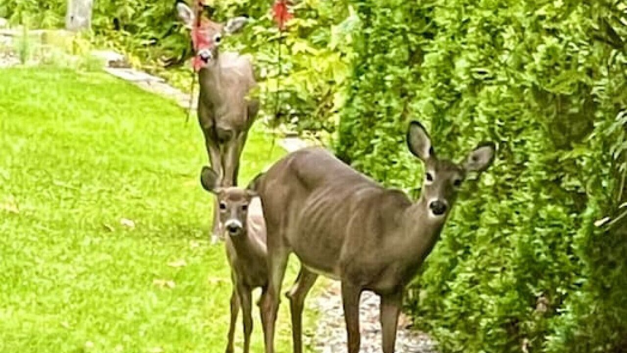 Photo of Others in Westside