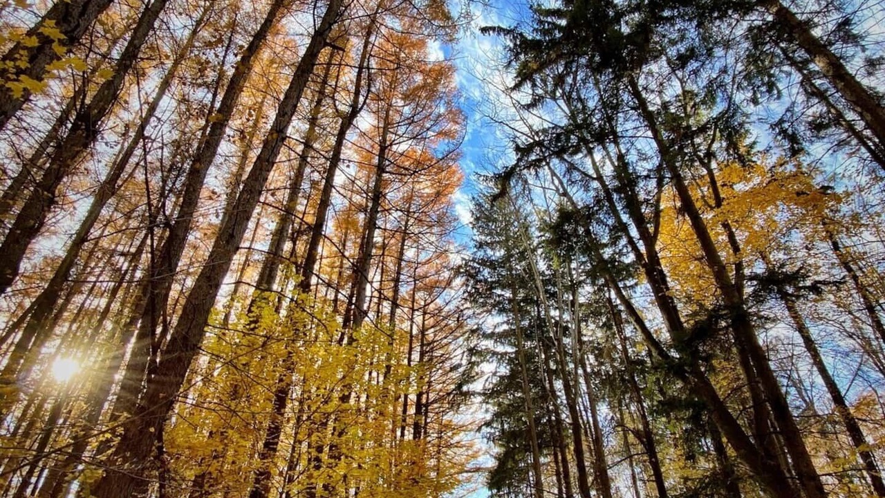 Photo of Outdoor in Sodus
