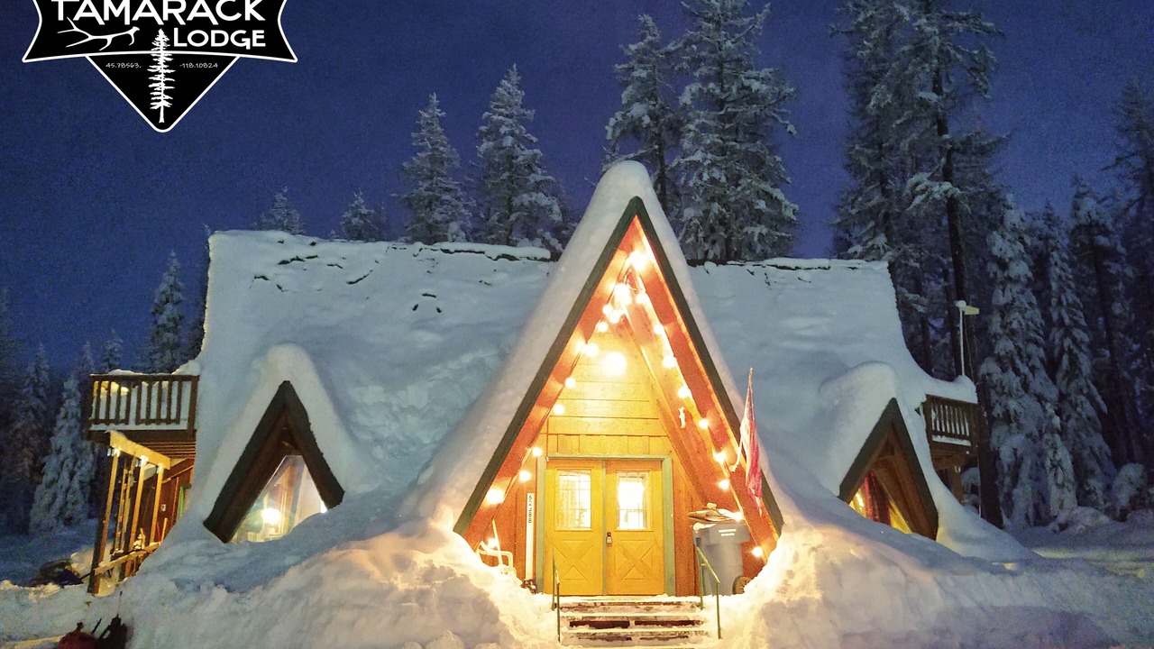 Photo of Outdoor in Weston