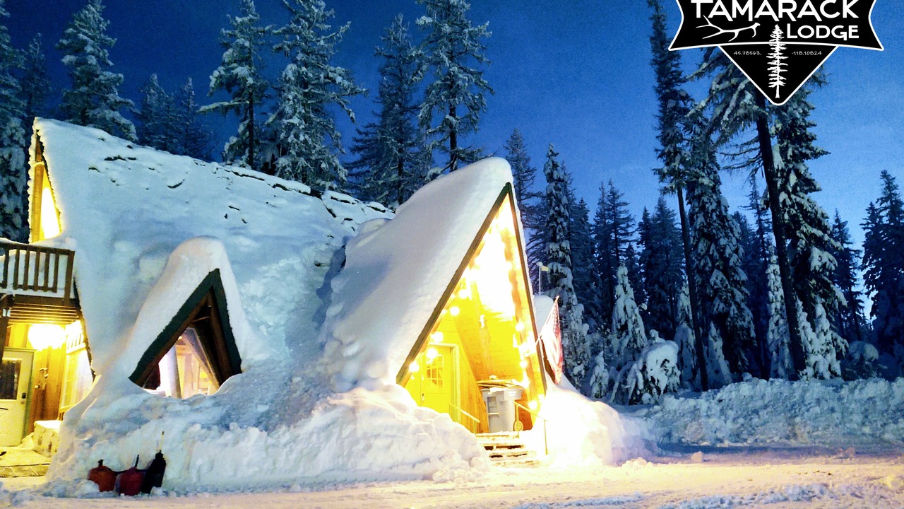 Photo of Outdoor in Weston