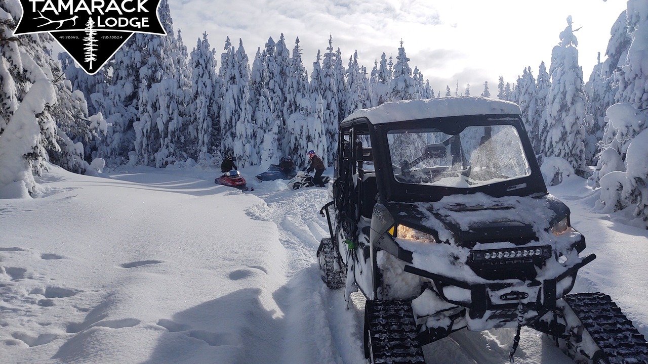 Photo of Others in Weston